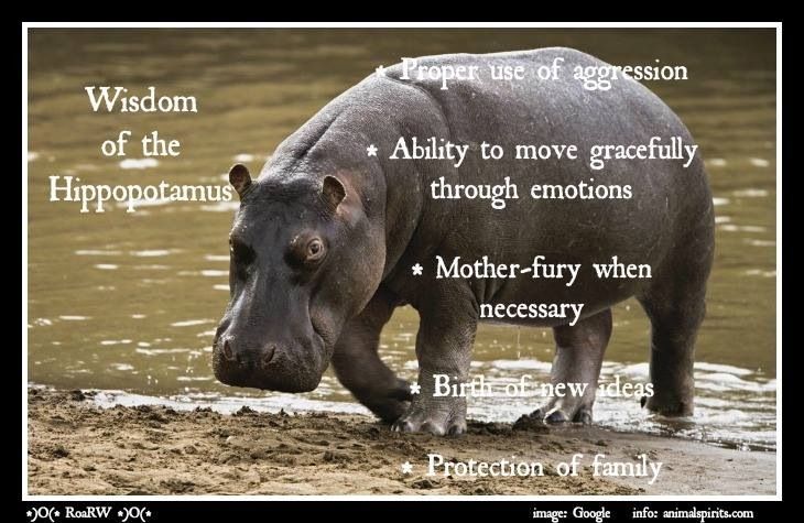 The Powerful Symbolism of the Hippopotamus as a Spirit Animal