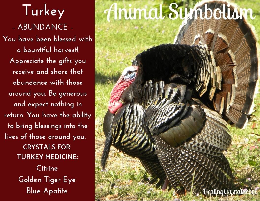 The Symbolic Turkey: Unveiling the Spirit Animal of Turkey