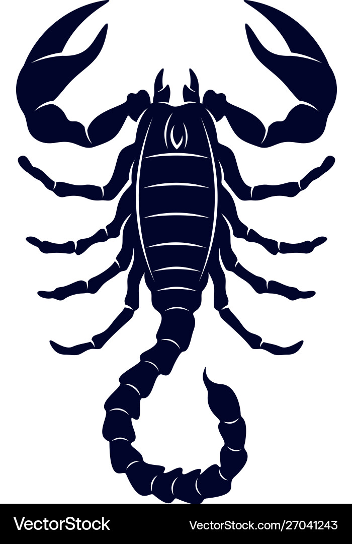 The Enigmatic Charms of Scorpion Symbolism: Unveiling the Secrets