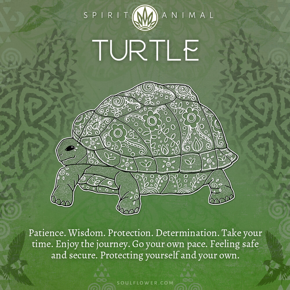 The Wise and Steadfast Guidance of the Turtle Spirit Animal